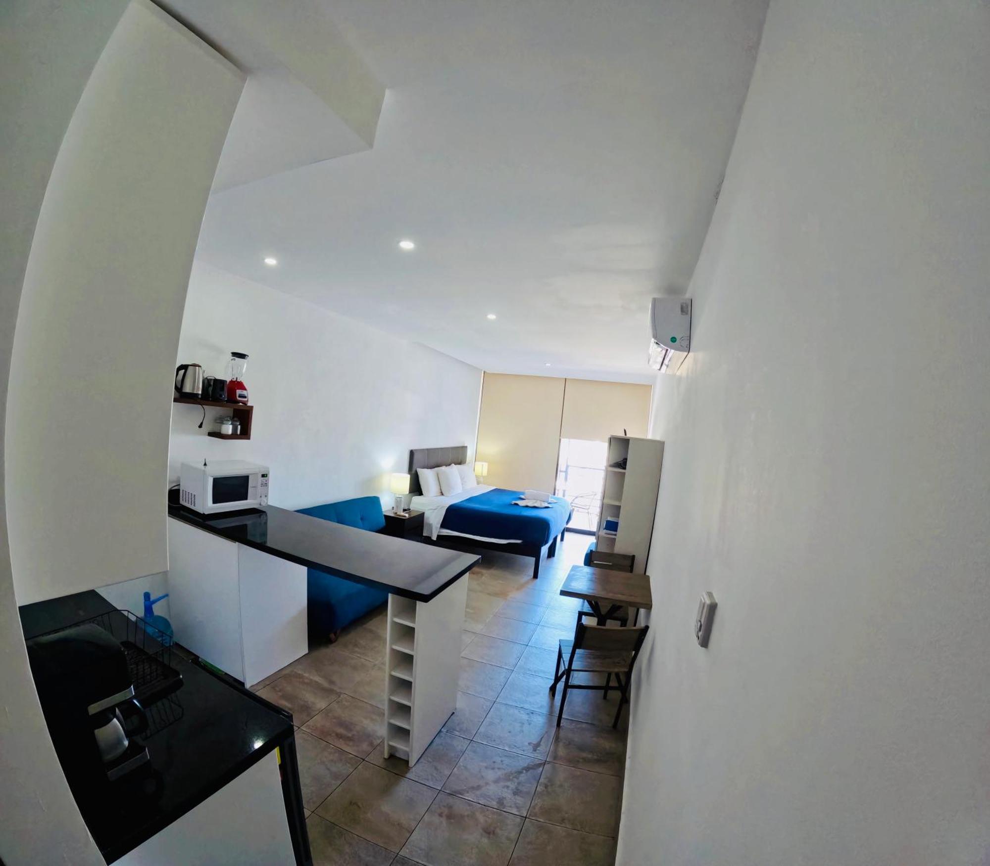 Studios With Roofpool In Vanessa 24 普拉亚卡门 客房 照片