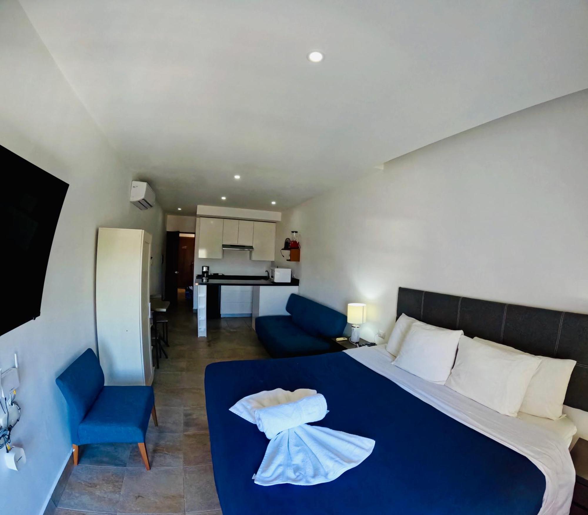 Studios With Roofpool In Vanessa 24 普拉亚卡门 客房 照片