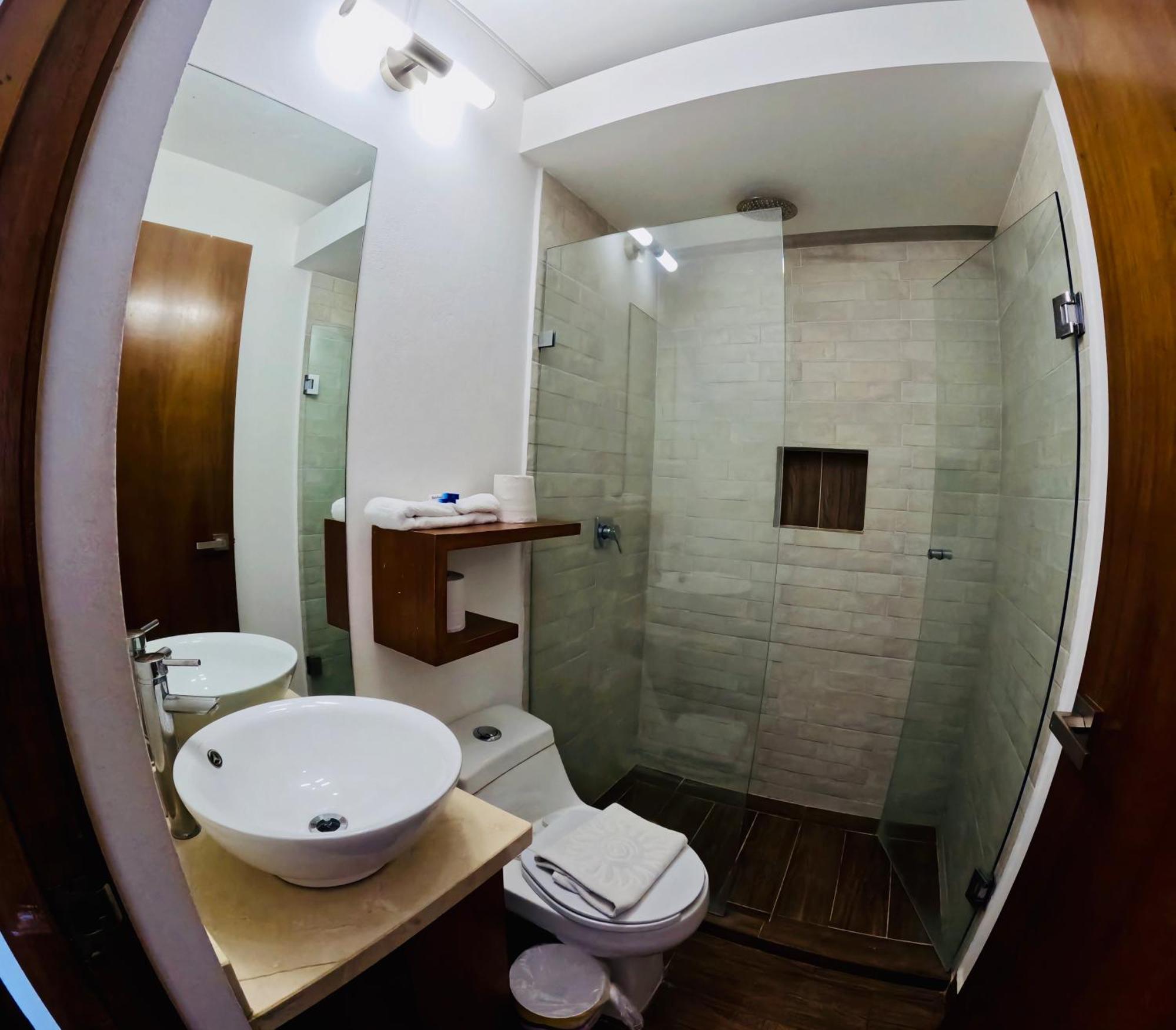 Studios With Roofpool In Vanessa 24 普拉亚卡门 客房 照片
